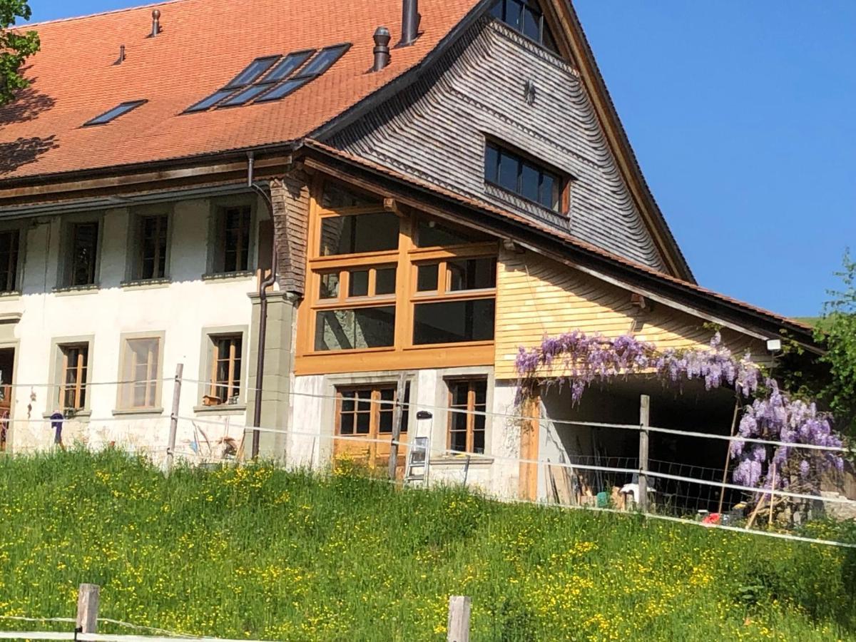 Serenite Et Nature Dans Une Ferme Equestre - Studio Familial Massonnens Zewnętrze zdjęcie