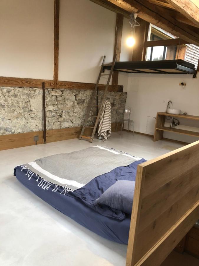 Serenite Et Nature Dans Une Ferme Equestre - Studio Familial Massonnens Zewnętrze zdjęcie